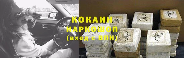 ГАЛЛЮЦИНОГЕННЫЕ ГРИБЫ Новозыбков