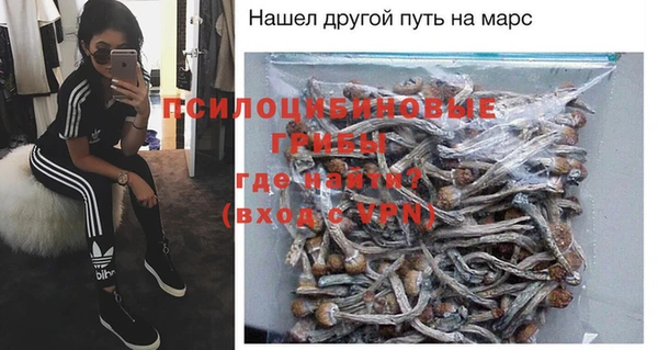 PSILOCYBIN Алзамай