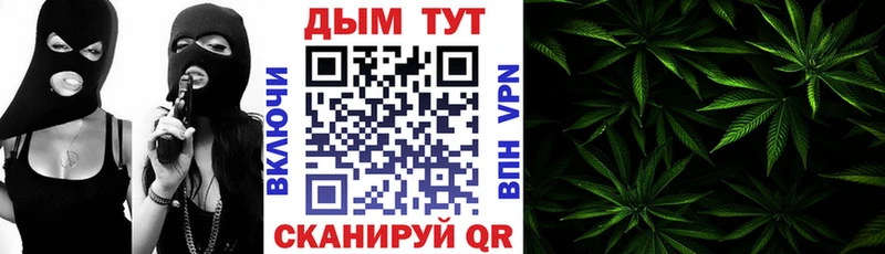 Конопля план  сайты даркнета официальный сайт  Павлово 